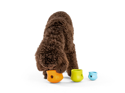 WestPaw Toppl image 13