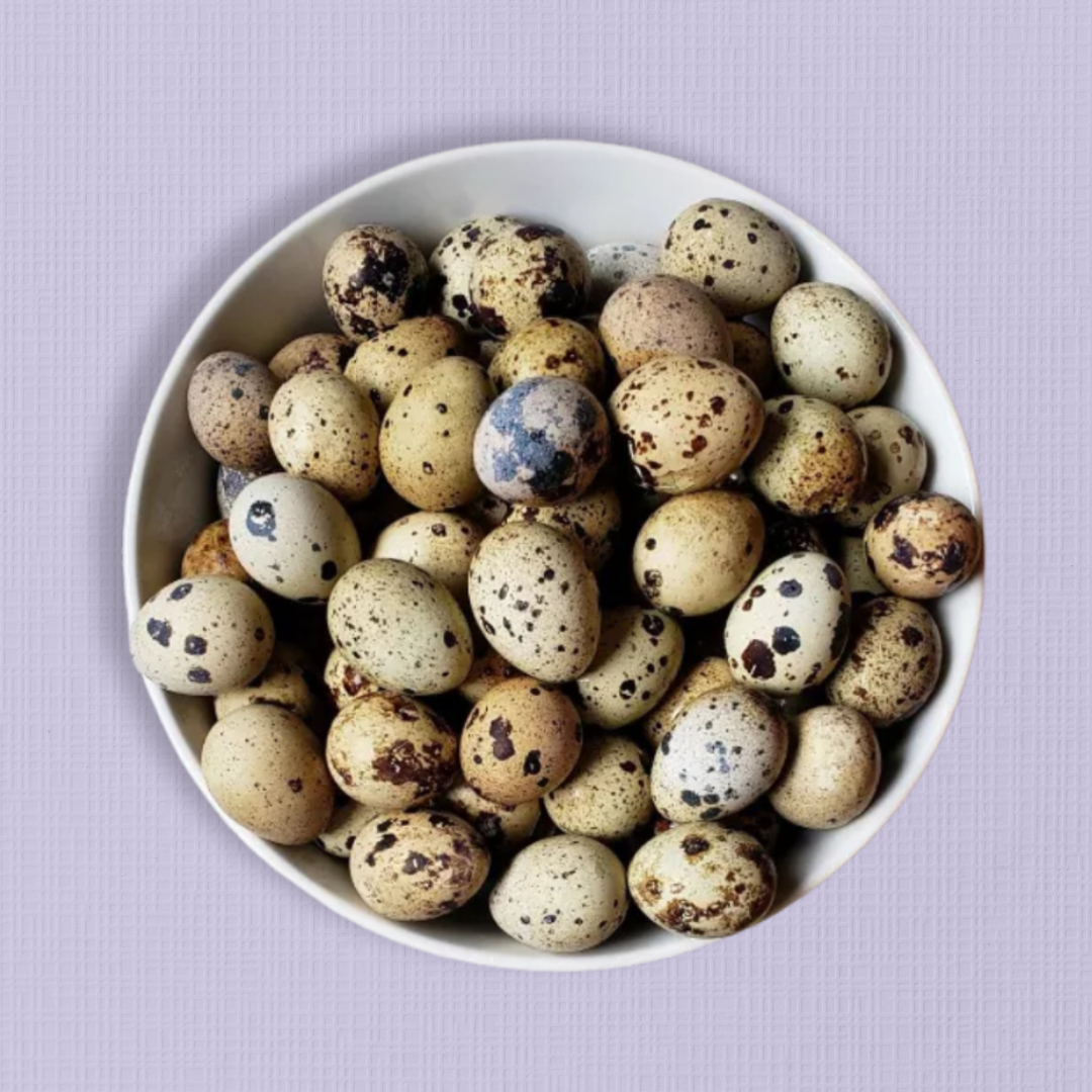 Freeze Dried Whole Quail Eggs - 12 Pack