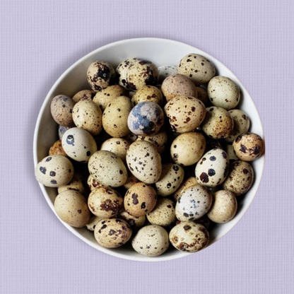 Freeze Dried Whole Quail Eggs - 12 Pack