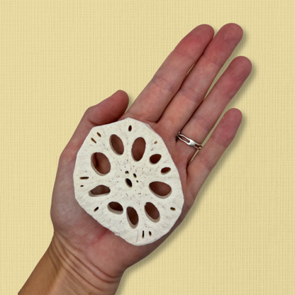 Freeze Dried Lotus Root