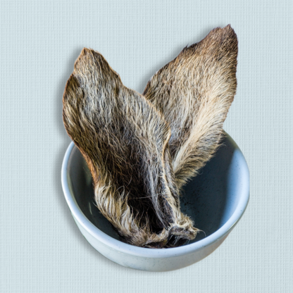 Furry Kangaroo Ears