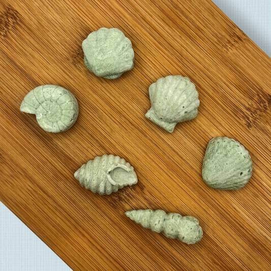 Beach Bites