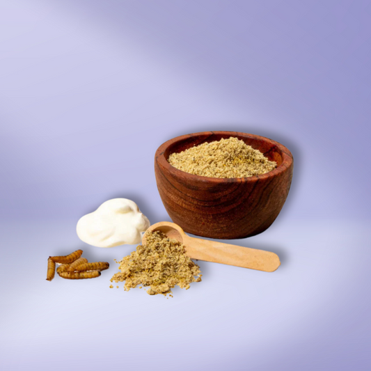 Brain Boost Protein Powder - Black Soldier Fly Larvae & Yogurt