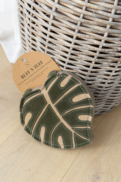 'Ruff N Tuff' - Monstera PREORDER