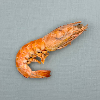 Freeze Dried Giant King Prawns