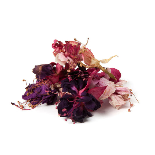 Australian Dried Fuschia