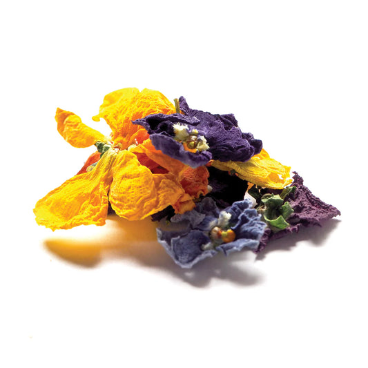 Australian Dried Pansy