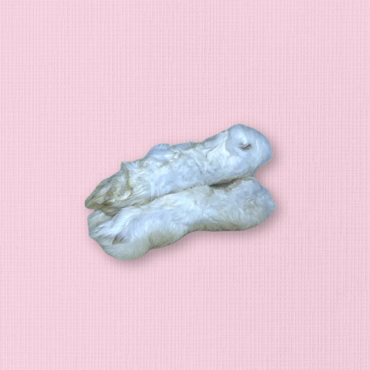 White Rabbit Legs