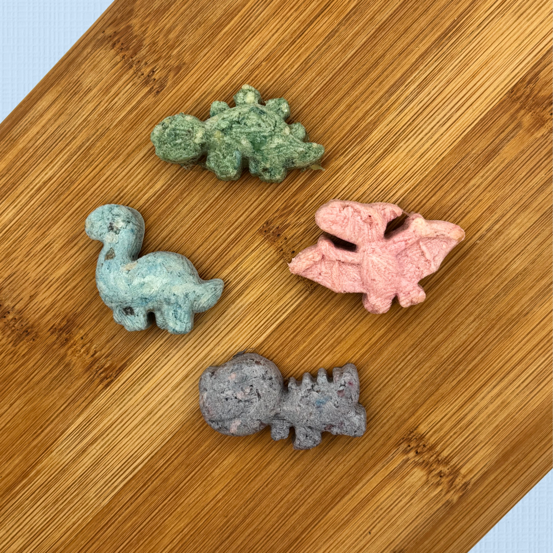 Dino Bite Surprise