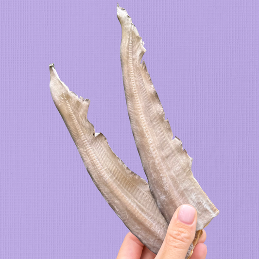 Shark Tail Fin