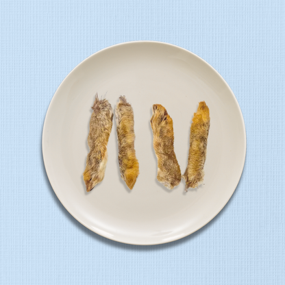 Furry Wild Rabbit Feet