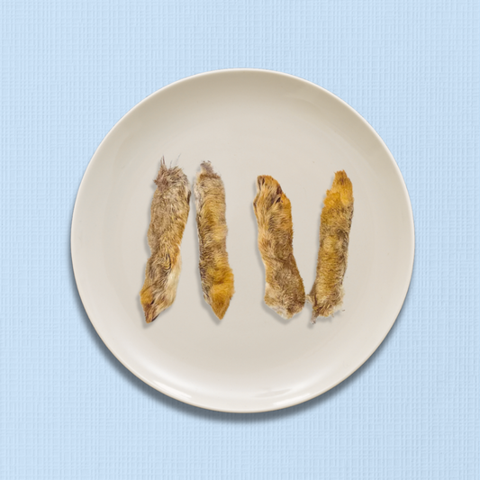 Furry Wild Rabbit Feet