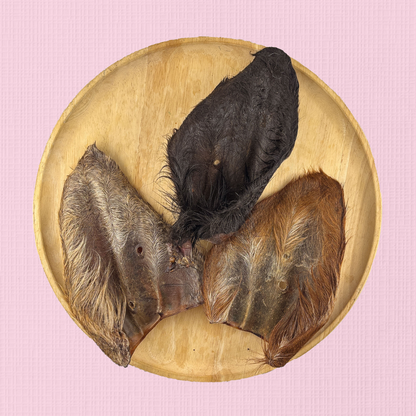 Furry Wagyu Ear