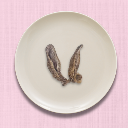 Furry Wild Rabbit Ears