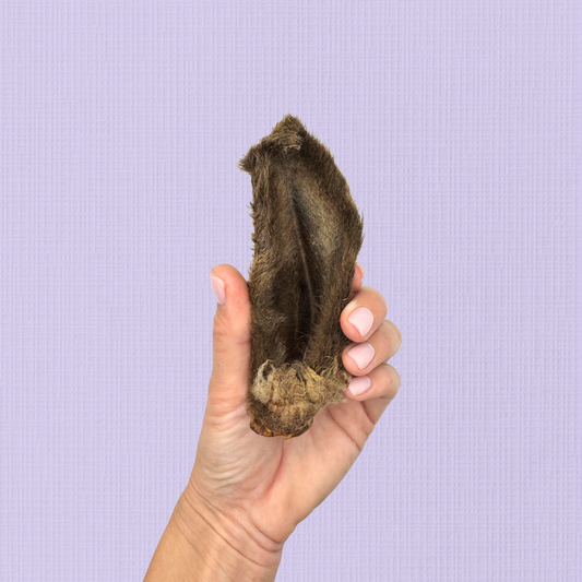 Furry Lamb Ears