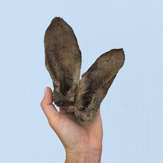 Furry Kangaroo Ears