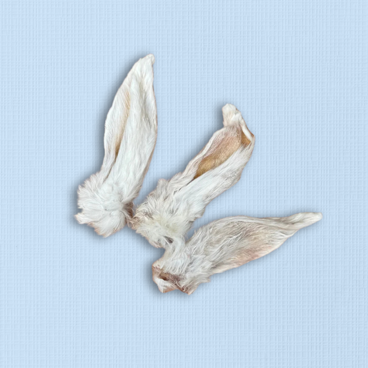 Furry White Rabbit Ears