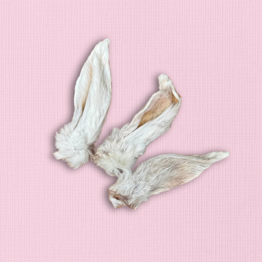 Furry White Rabbit Ears