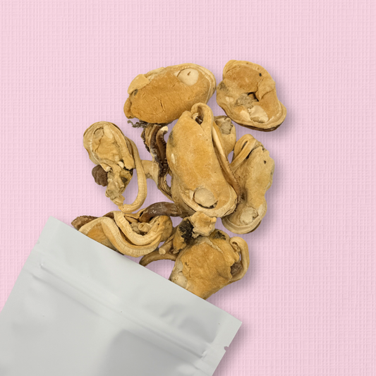 Freeze Dried Green Lipped Mussels