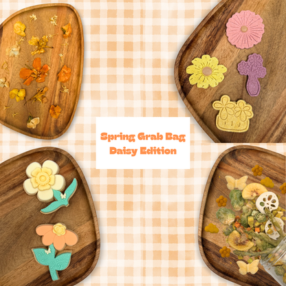 Spring Grab Bag - Daisy Edition