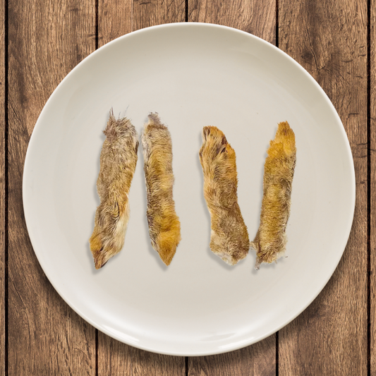Furry Wild Rabbit Feet