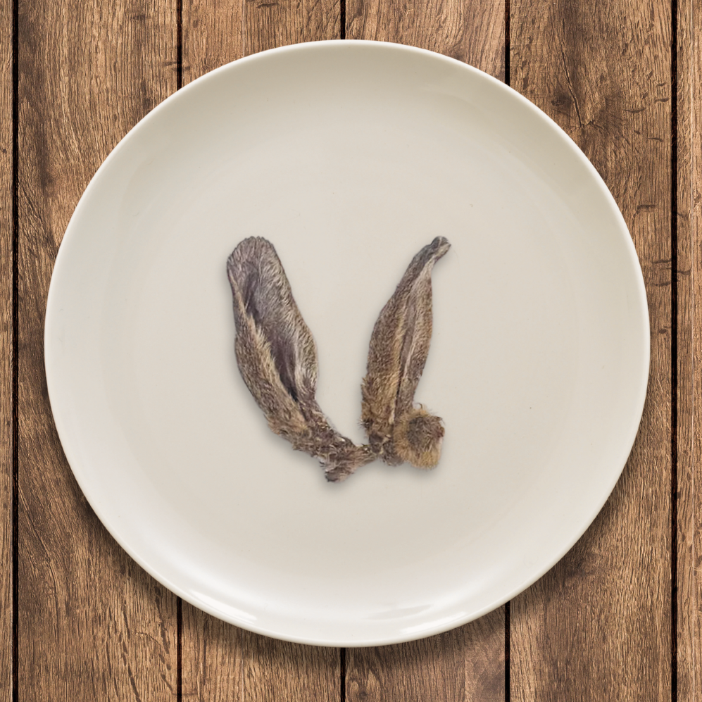 Furry Wild Rabbit Ears