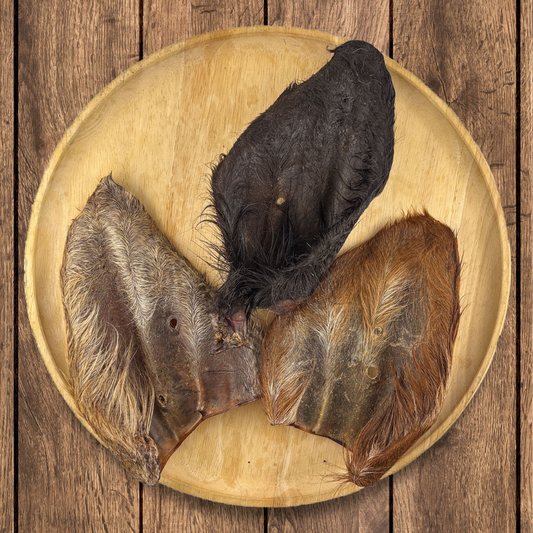 Furry Wagyu Ear