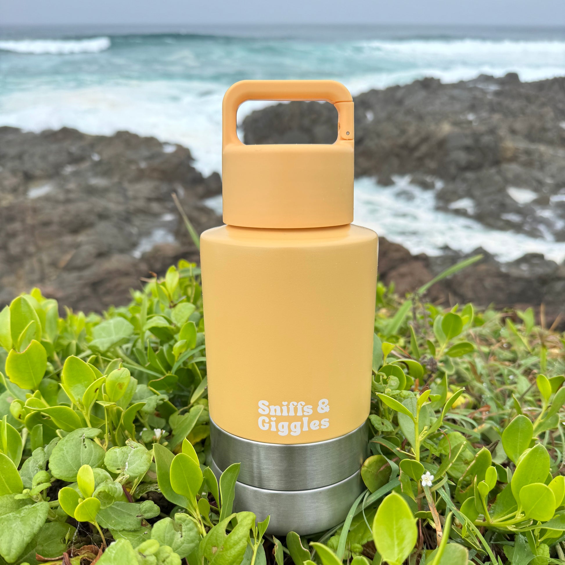 Walkabout Water Bottle - Daffodil (Yellow) image 1