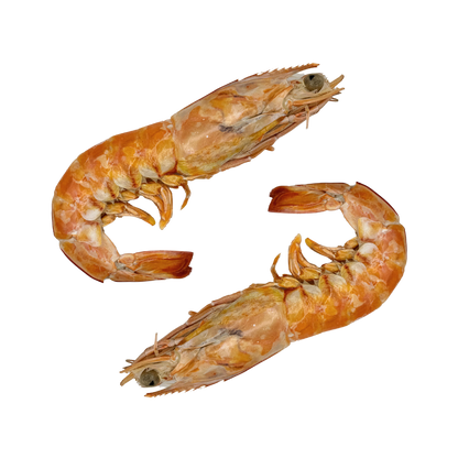 Freeze Dried XLarge Prawns image 2