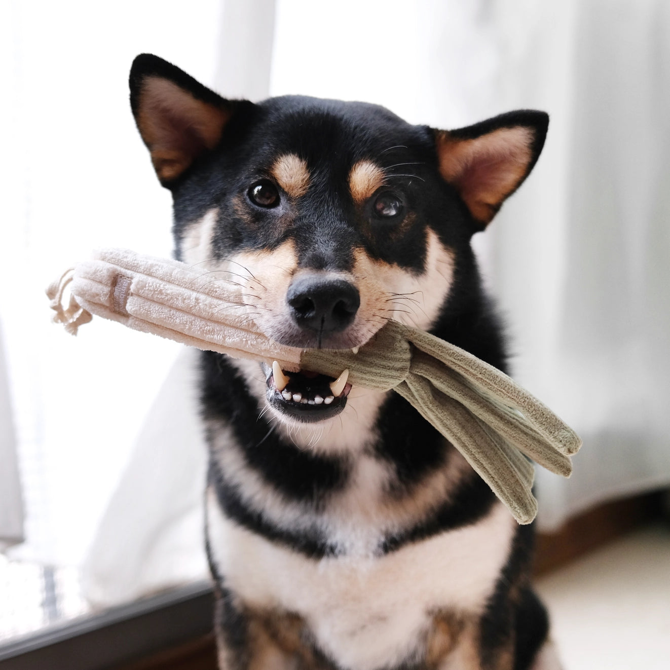Farmer's Market Snuffle Toy Set
