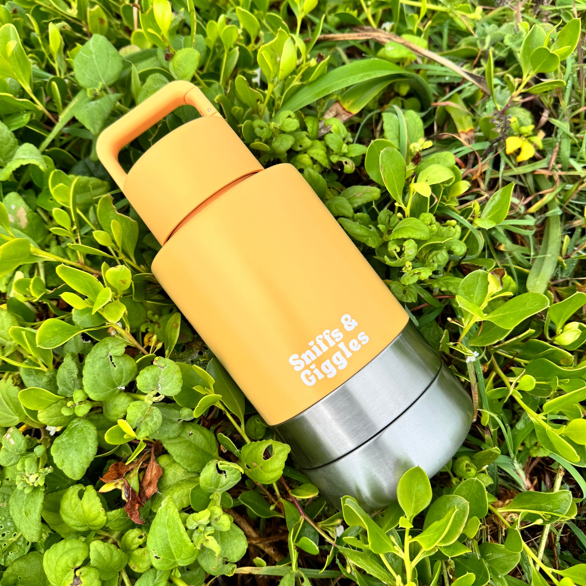 Walkabout Water Bottle - Daffodil (Yellow) image 5