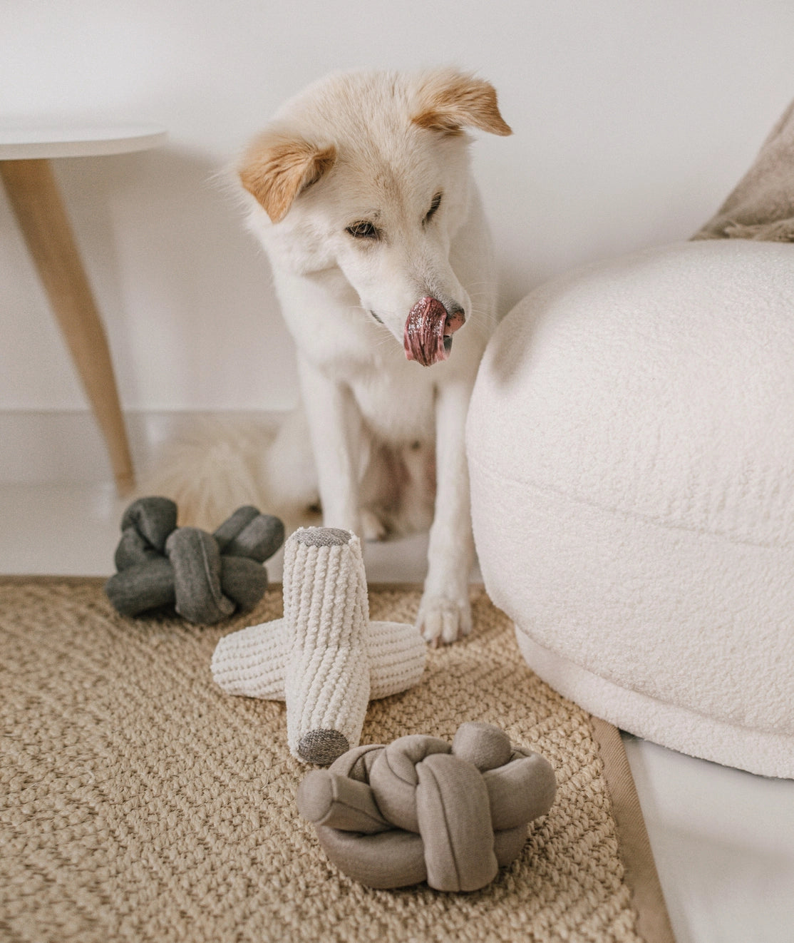 Nou Enrichment Dog Toy