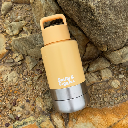 Walkabout Water Bottle - Daffodil (Yellow) image 3