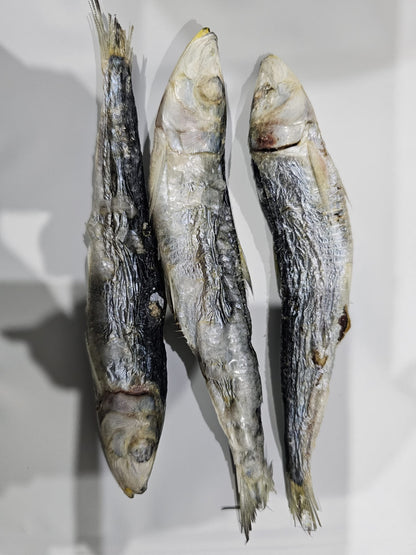Freeze Dried Sardines