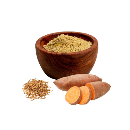Brawn Boost Protein Powder - Sweet Potato & Mealworm image 0