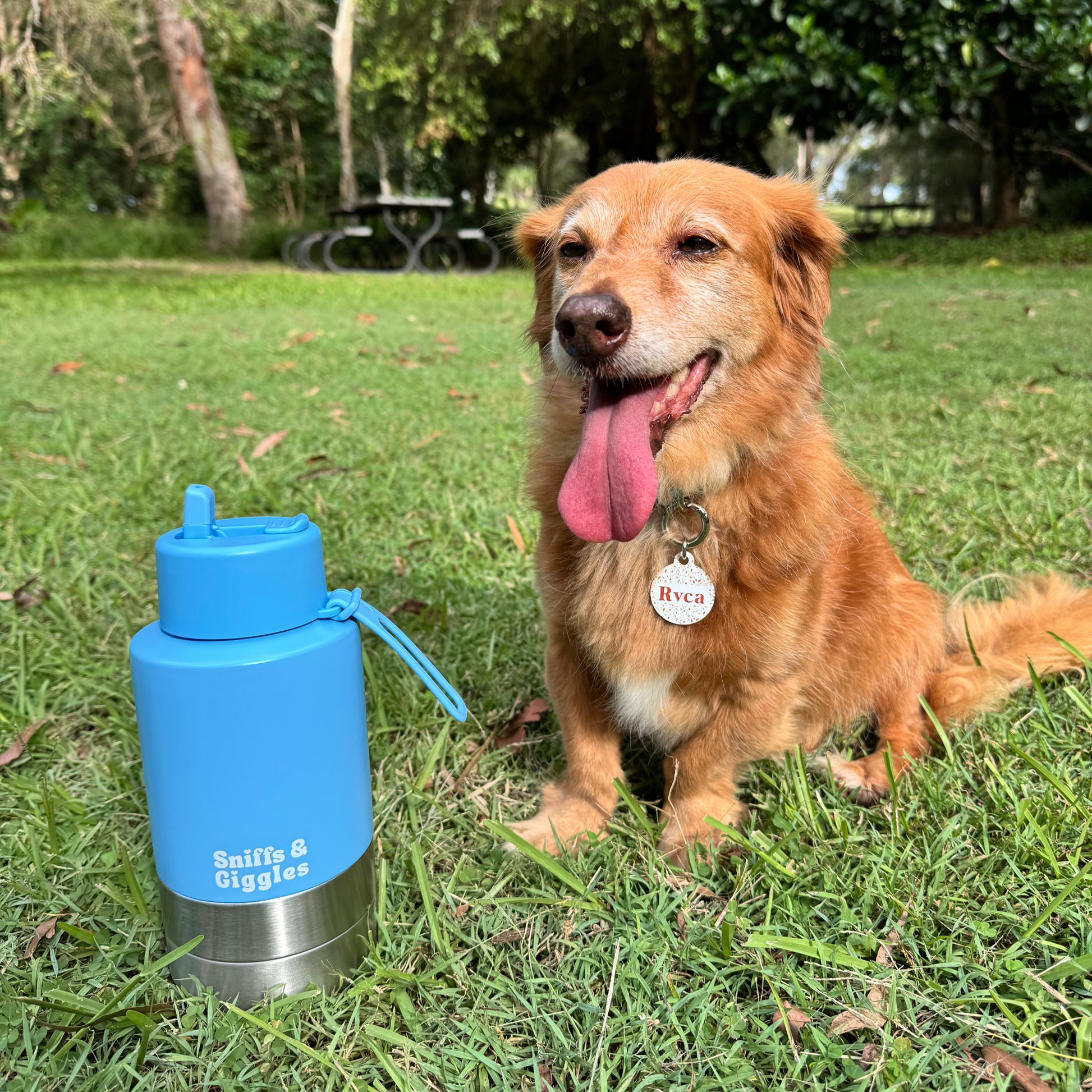 Walkabout Water Bottle - Iris (Blue) image 5