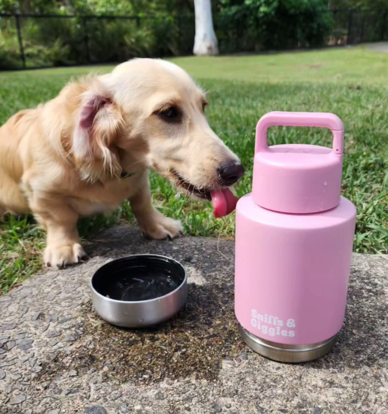 Walkabout Water Bottle - Lily (Light Pink) image 1